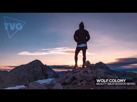 Wolf Colony - Beauty (Beatsession Remix) - UCouV5on9oauLTYF-gYhziIQ