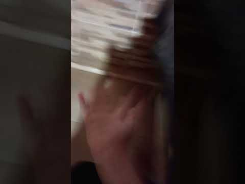 29 de octubre de 2025