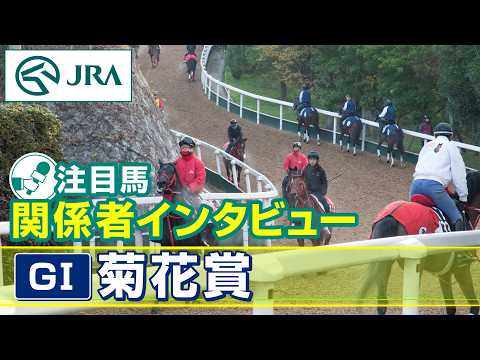 【注目馬 関係者インタビュー】2026年 菊花賞|JRA公式