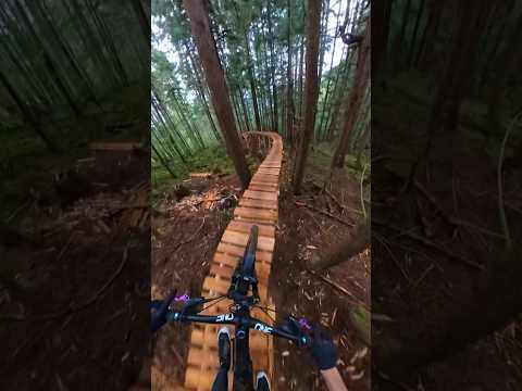 This mountain has insane bike features!