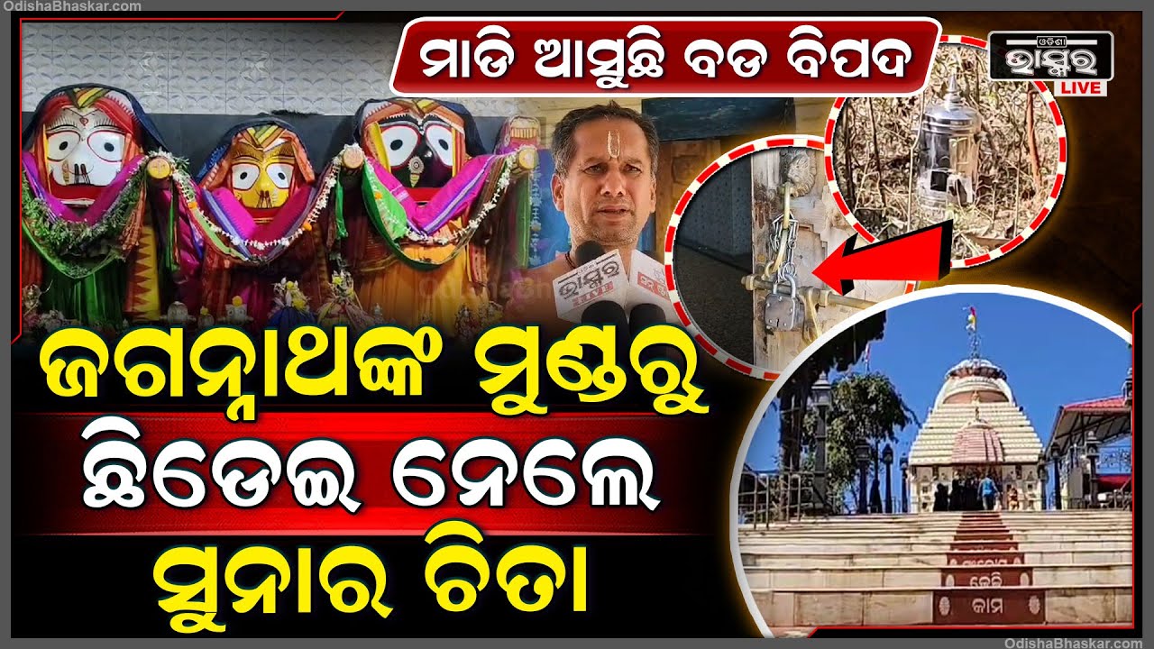 ହଠାତ୍ ଜଙ୍ଗଲ ଭିତରକୁ ପଶିଗଲା ପୋଲିସ... ଘଞ୍ଚ ଅରଣ୍ୟ ଭିତରେ କଣ ଖୋଜୁଛି ପୋଲିସ...