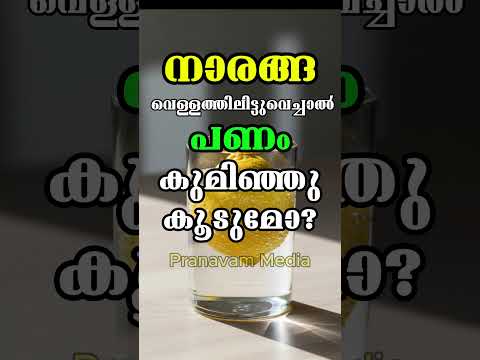 നാരങ്ങ വെള്ളത്തിലിട്ടുവെച്ചാൽ പണം കുമിഞ്ഞുകൂടുമോ? #pranavammedia #astrology #viral #jyothishavartha