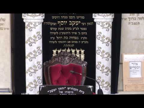 עצמאות שכולו תורה  •  בית המדרש חזון יעקב ה' אייר תשפ'ו