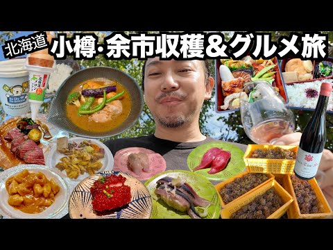 【北海道旅行】小樽&余市を二泊三日で楽しむ葡萄収穫とグルメ旅 2025年