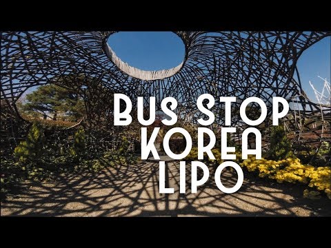 Korean Bus Stop Lipo - UCQEqPV0AwJ6mQYLmSO0rcNA