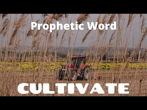 Prophetic Word - Cultivate