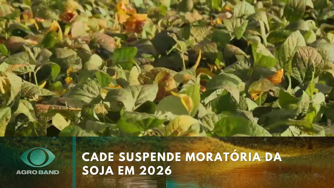 Cade suspende moratória da soja em 2026