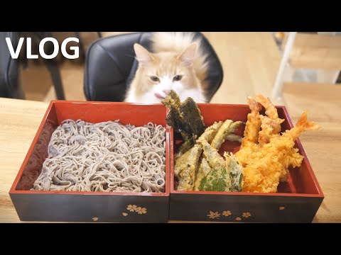 Japanese Tempura Soba