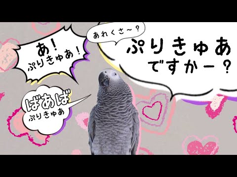 ずぅちゃんがプリキュアにハマったら、アレクサが狂った。