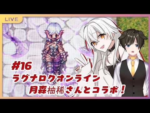 【 ラグナロクオンライン 】#16 柚稀さんとコラボ配信!