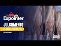 EXPOINTER 2026 - Julgamento da Raça Jersey Adulta