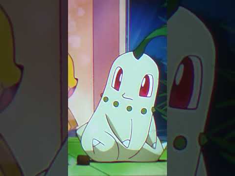 Pokemon TCG News