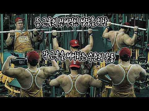 등 근육의 전체적인 성장을 위한, 각 근육을 제어하는 수준의 운동 | JM WORKOUT