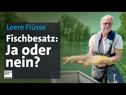 Fischmangel: Wie retten wir unsere Flüsse? | Die Story | Kontrovers | BR24