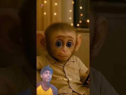 Happy Diwali 🎇 - Celebrate with your Family ❤️ - Rio🐒 #diwali #happydiwali