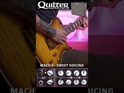 Quilter Labs |  Aviator Mach 3 - SWEET Voicing #SHORTS #guitar #amplifier