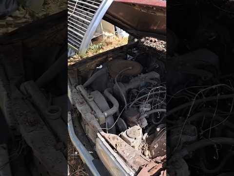 Mercedes-Benz diesel. The engine that refuse to die