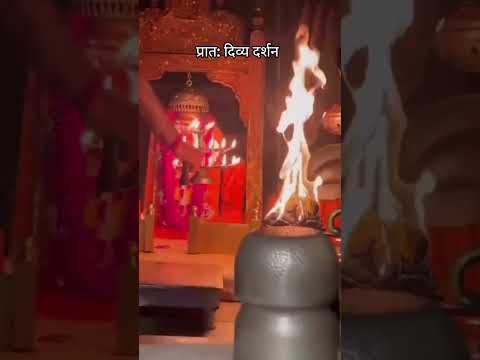 मां #karnimata #youtube #ytshorts #godess #karnimataofficial #viralvideo #न्यू #maa #karnimatatemple