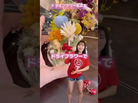 ドライフラワーを腐敗させたヤツ【横山天音】#shots