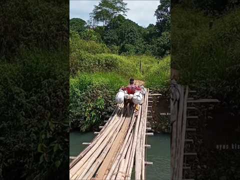 OJEK KOPI KISAM JOKI HANDAL#shots