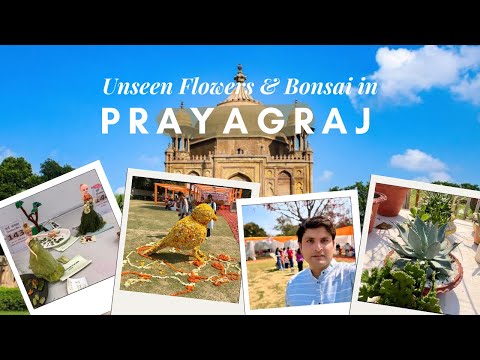 Winter Plant Exhibition 2025 🌸 | Rare Ornamental, Flowering & Bonsai Collection in Prayagraj