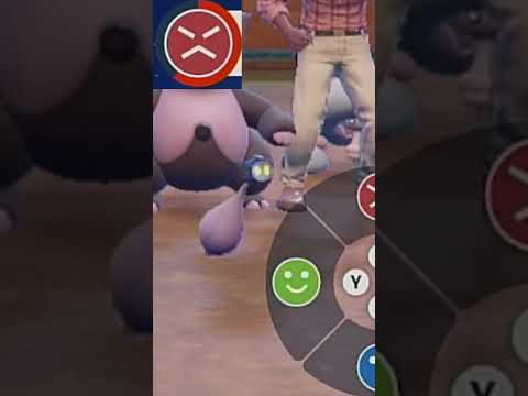 thumbnail_gT159MiwyXY