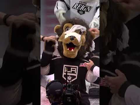 No lion: KCBS angers Bailey, LA Kings mascot, after confusion with