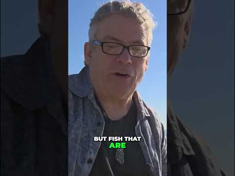 Microplastics Crisis: How Plastic Pollutes Our Food Chain #shorts