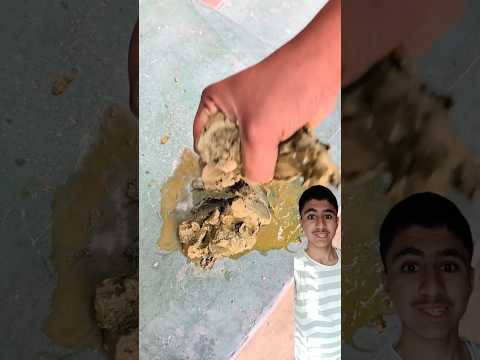 “Building Wooden Log Cabin in Forest 🌲| Survival House Step by Step”