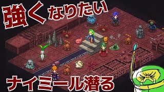 【Elin】強くなりたいのでナイミールにいこう。【Elona後継作】：part 006