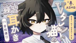 【ASMR】病みつきゴリゴリ金属耳かき♡猫耳ボクっ娘同級生のこっそり配信練習【EarCleaning】