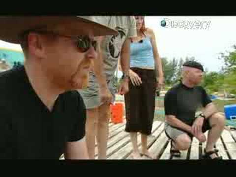 MythBusters - Drop of Blood - UCqOoboPm3uhY_YXhvhmL-WA