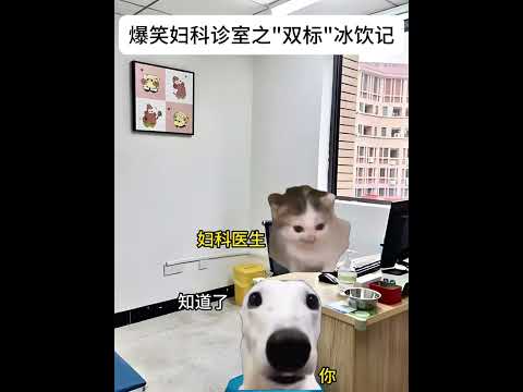 猫のユーモラスな行動と面白シーン集｜笑いと癒しをお届け サムネイル