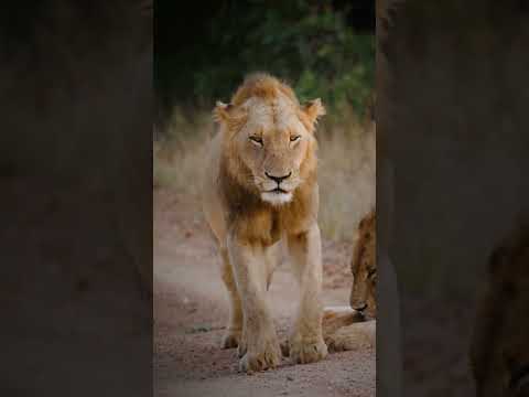 Life's Truth 💔 #viralvideo #ytshorts #life