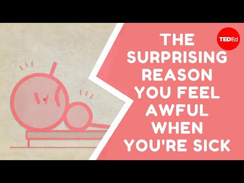 The surprising reason you feel awful when you're sick - Marco A. Sotomayor - UCsooa4yRKGN_zEE8iknghZA