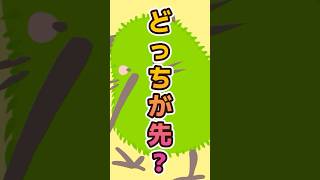 🎨猫科計画18キウイ/ #描いてみた #shorts