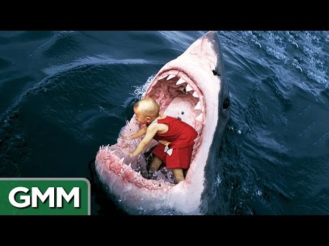 6 Strangest Things Swallowed by a Shark - UC4PooiX37Pld1T8J5SYT-SQ