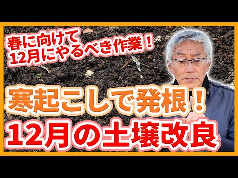 家庭菜園や農園の野菜栽培は寒起こしで土壌改良！初期生育が良くなる土作りと野菜の育て方！【農家直伝】