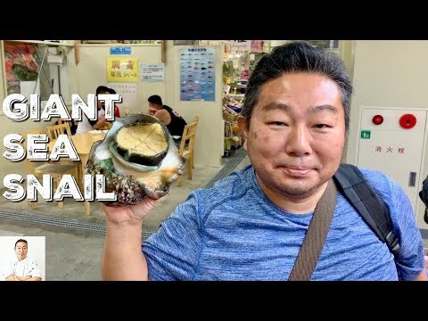 LIVE GIANT SEA SNAIL - Clean and Cook 2 Ways | Okinawa Street Food - UCbULqc7U1mCHiVSCIkwEpxw