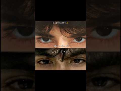 NUSRAT FATEH ALI KHAN BEST QWALI STATUS 😌👈🏻🖤✨ #nfak #eidmubarak #2k25