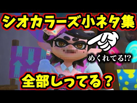 全部しってたらすごい！シオカラーズの小ネタを集めました！【スプラトゥーン】