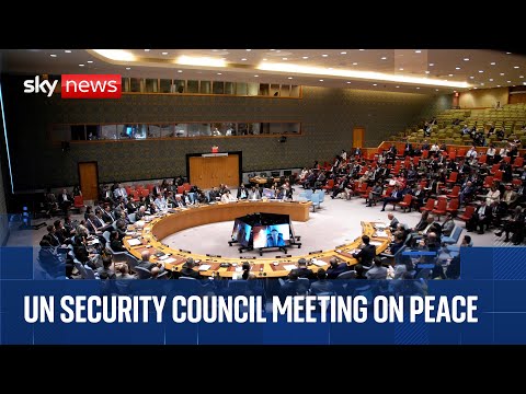 UN Security Council hosts meeting on peace and security