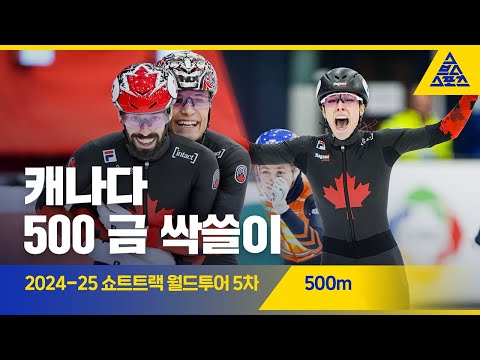 2025 ISU 쇼트트랙 월드투어 5차 네덜란드 500m 결승ㅣ스티븐 뒤부아, 플로랑스 부뤼넬 [습츠_쇼트트랙]