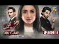 Qarz e Jaan Ep 18 [CC] - 2nd Mar 25 - Sponsored By Vim, Master Paints, Ujooba Beauty Cream - HUM TV