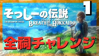 【全136箇所】ゼルダの伝説ブレス オブザワイルドすべての祠を攻略しる！ ♯1