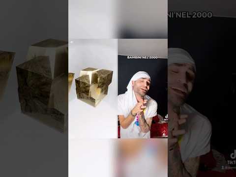 CHISSÀ QUANTE PECORE ALLO ZOO😍🐑 IG: FEEMILANO 🐑☀️