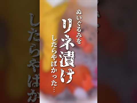 年末大掃除🧹ぬいぐるみをリネ漬けしたらヤバかった…🧸#shorts #年末大掃除 #ぬいぐるみ #洗濯 #つけ置き #リネ漬け