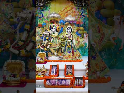 🥰 radhe 🙏 Krishna 🥰 radhe 🙏 krishna 🥰 radhe 🙏 Krishna 🥰 radhe 🙏 krishna 🥰🙏