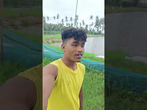 is Dil ki baton 🥰🥀🥀 #shotsvideo #train #shoyamamoto #shothanarania