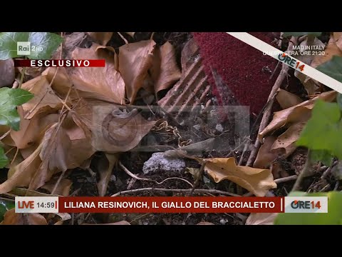 Liliana Resinovich, il giallo del braccialetto - Ore 14 del 19/02/2024